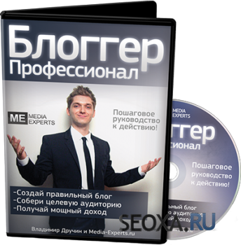 Владимир Дручин - Блоггер-Профессионал